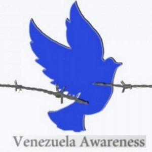 logo VAF -en-gris-VAF-300x300 (1)