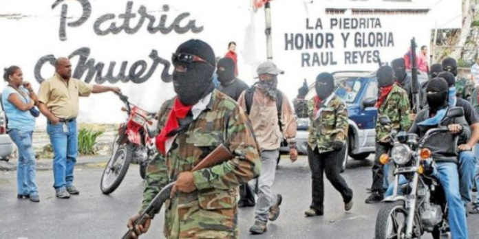colectivos armados