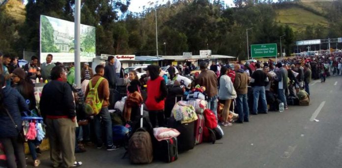 migracion