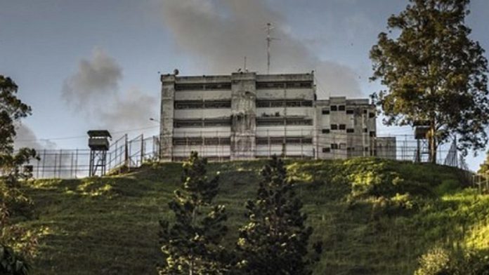 ramo verde
