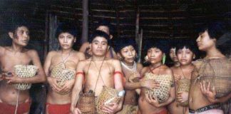 Supervivientes de la masacre de Haximú, en la que dieciséis yanomamis fueron asesinados por buscadores de oro ilegales, sujetan las urnas con las cenizas de sus parientes. © C Zacquini/ Survival