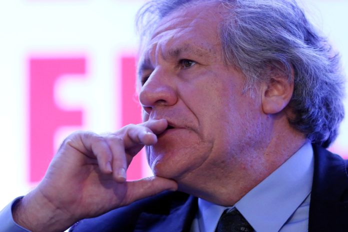 luis almagro