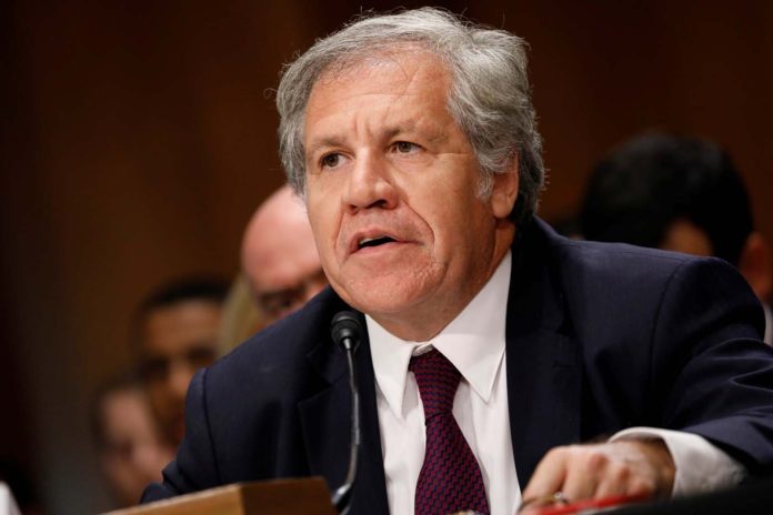 luis almagro