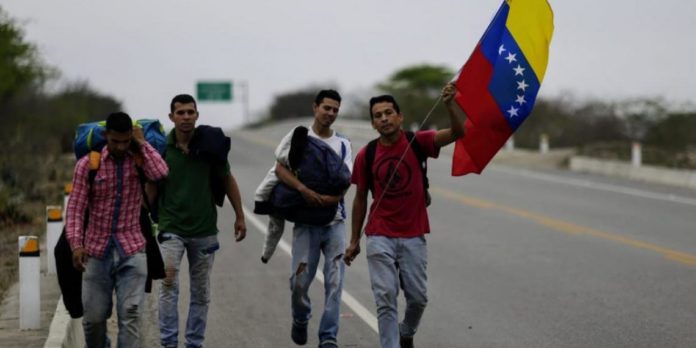 OEA-contabiliza-más-de-46-millones-de-migrantes-venezolanos-1140x570-1-696x348